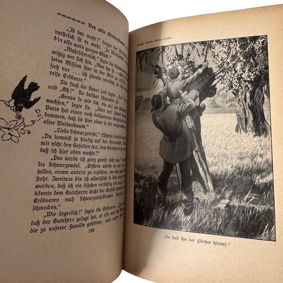 "Mother Nature Tells" By Karl Ewald Hardcover Book German Mutter Natur Erzählt - Picture 13 of 16